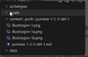 vscode feil